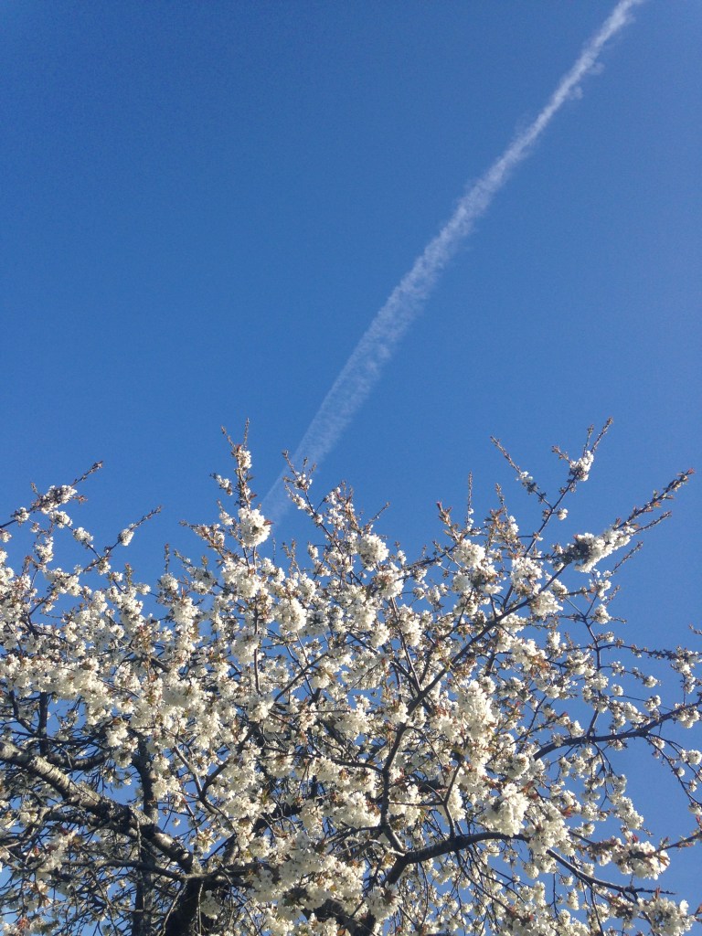 Photo 2014-04-28 12 47 02